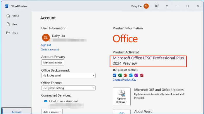 Microsoft Office 2024-3